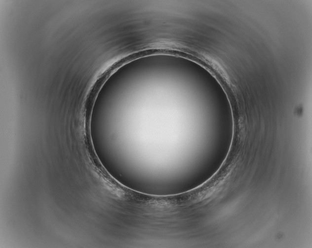 X0000091060931200708131126