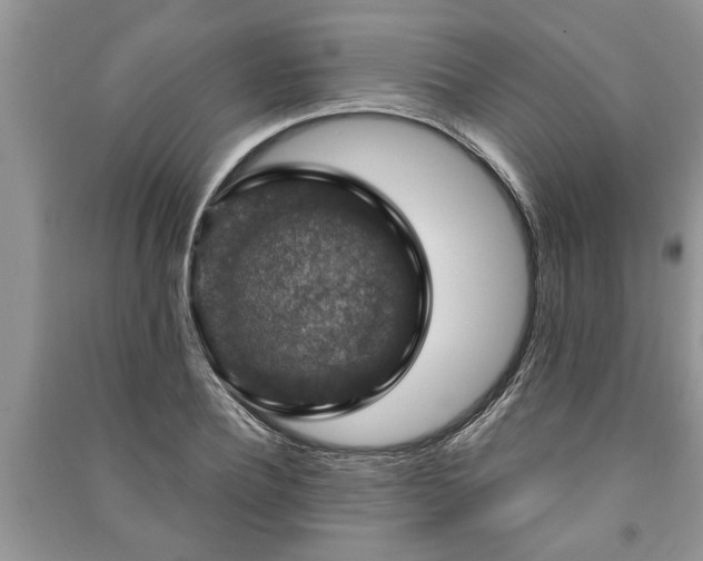 X0000091060932200708131126