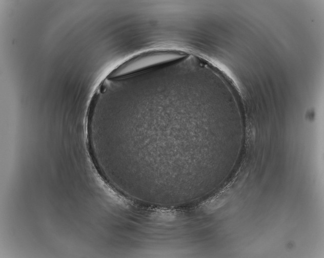 X0000091060935200708131126