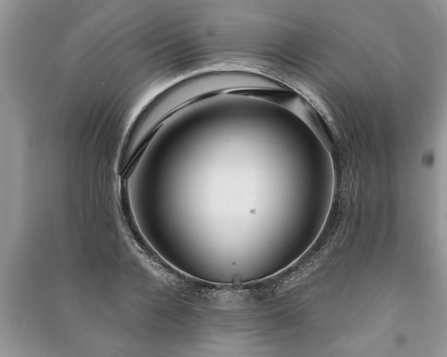 X0000091060936200708131126
