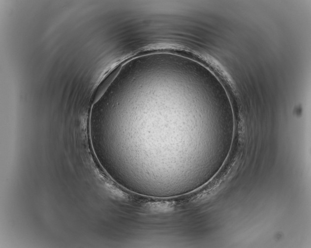 X0000091060937200708131126