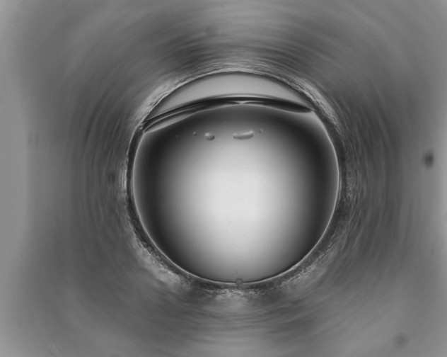 X0000091060938200708131126