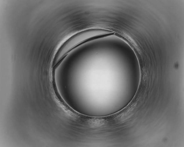 X0000091060939200708131126