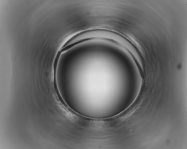 X0000091060940200708131126