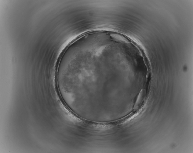 X0000091060941200708131126