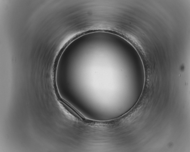 X0000091060942200708131126