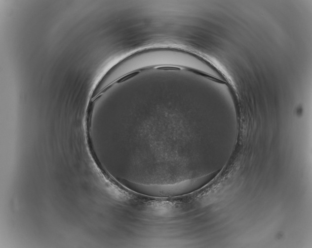 X0000091060943200708131126
