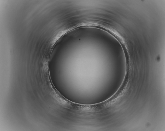X0000091060945200708131126