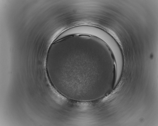 X0000091060946200708131127
