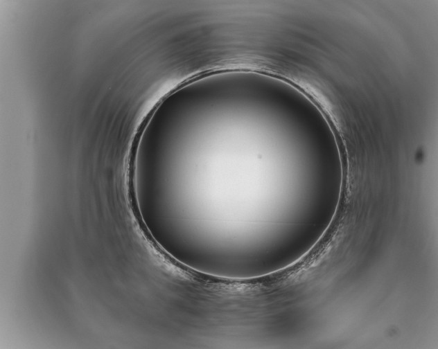 X0000091060949200708131127