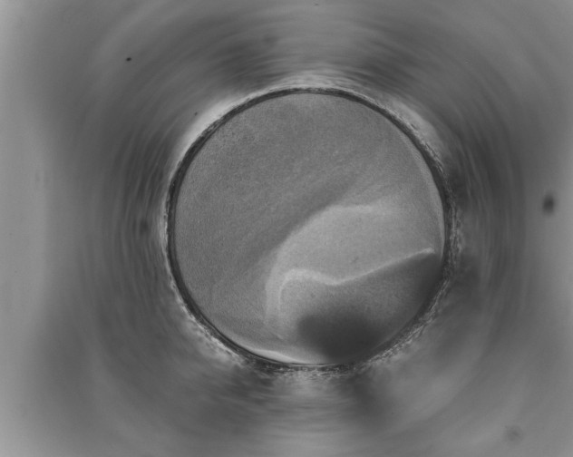 X0000091060950200708131127