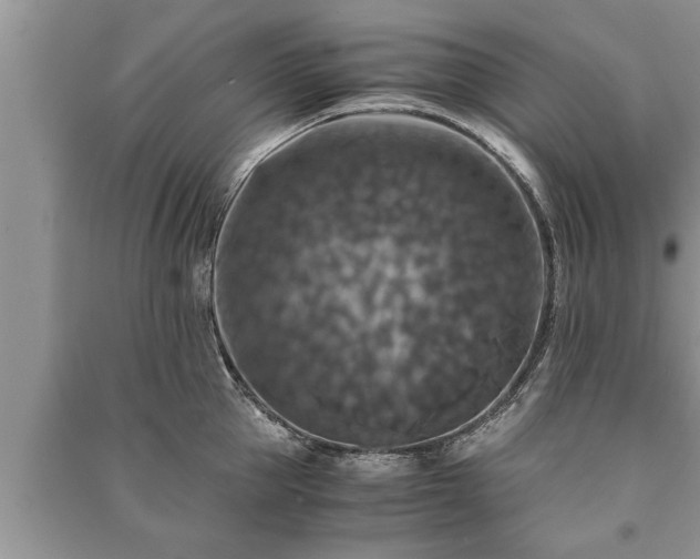 X0000091060953200708131127
