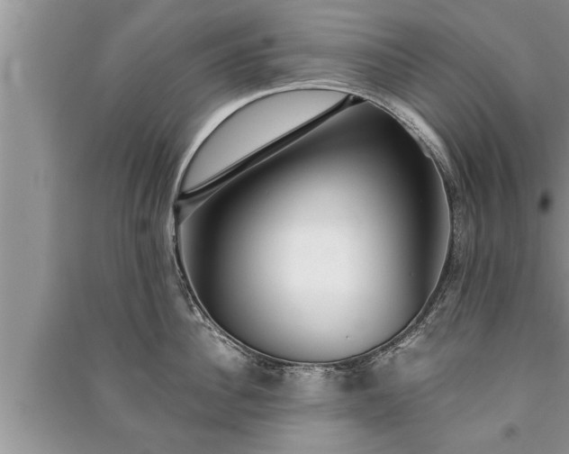 X0000091060956200708131127