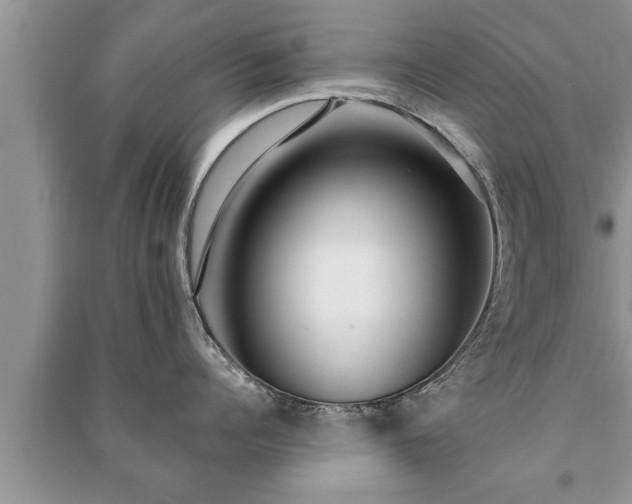 X0000091060960200708131127