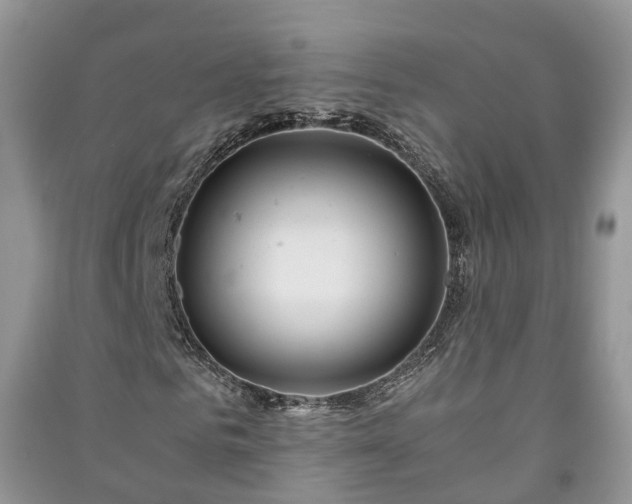 X0000091060961200708131126
