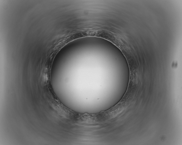 X0000091060962200708131126