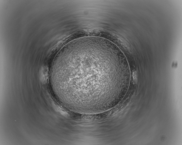X0000091060963200708131126