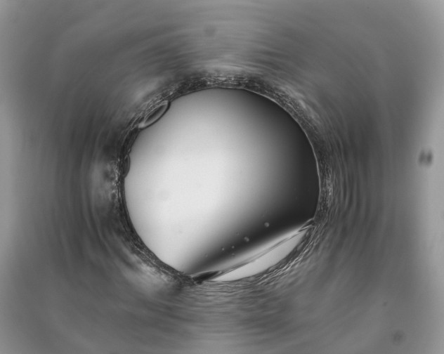 X0000091060964200708131126