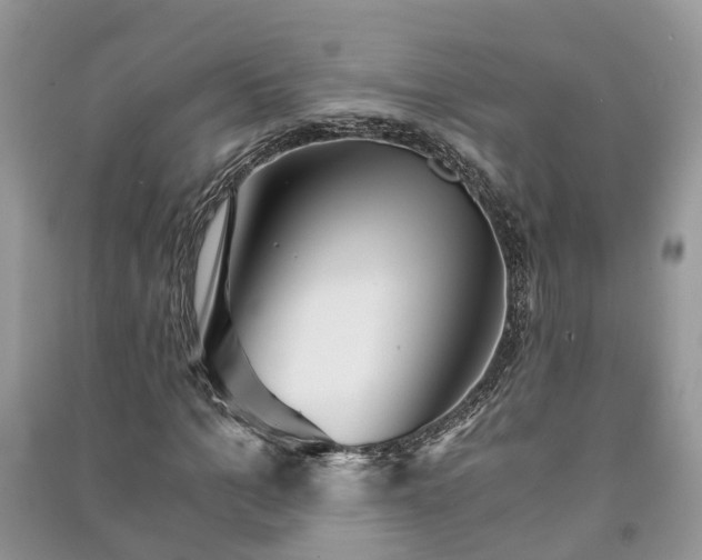 X0000091060965200708131126