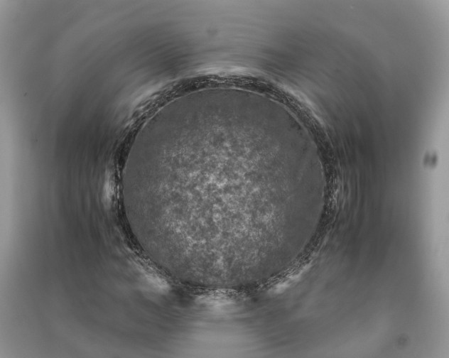 X0000091060966200708131126