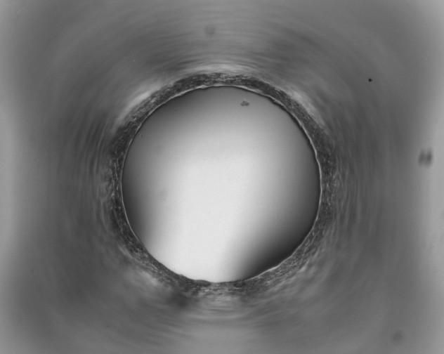 X0000091060967200708131126