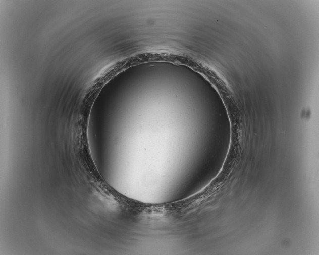 X0000091060968200708131126