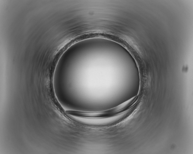 X0000091060969200708131126