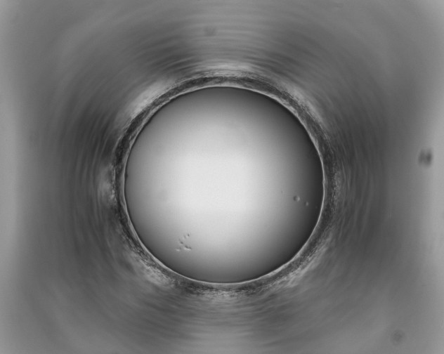 X0000091060970200708131126