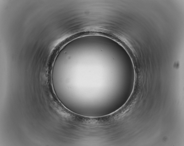 X0000091060971200708131126