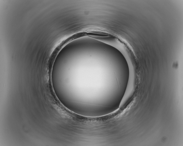 X0000091060973200708131126