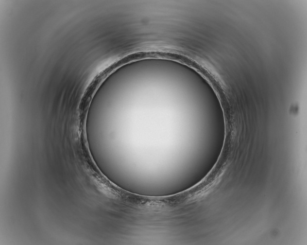 X0000091060974200708131126