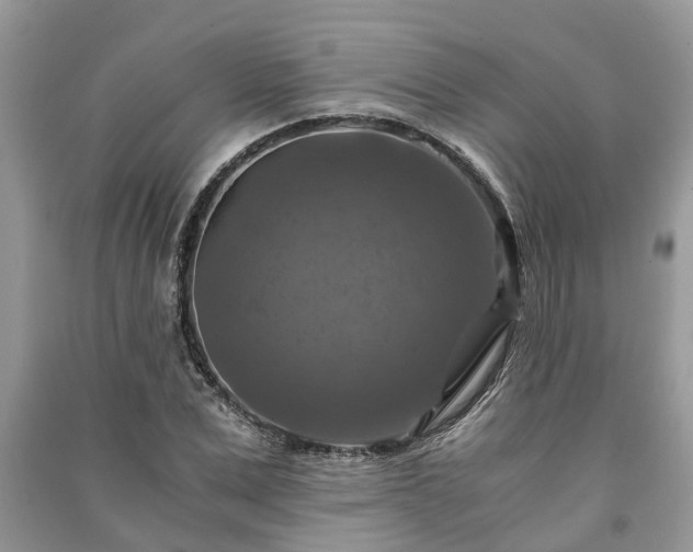 X0000091060975200708131126