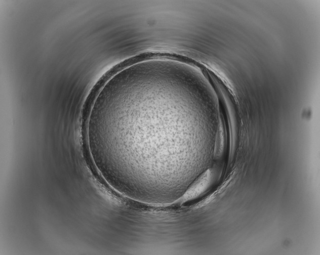X0000091060976200708131126