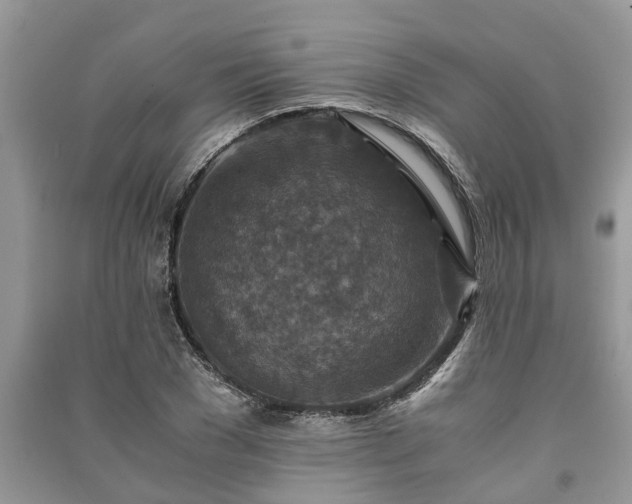 X0000091060977200708131126