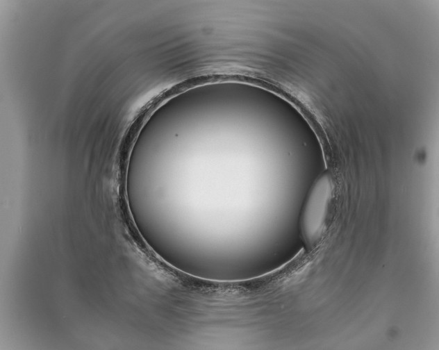 X0000091060979200708131126