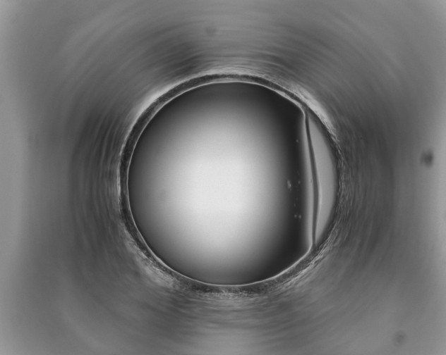 X0000091060980200708131126