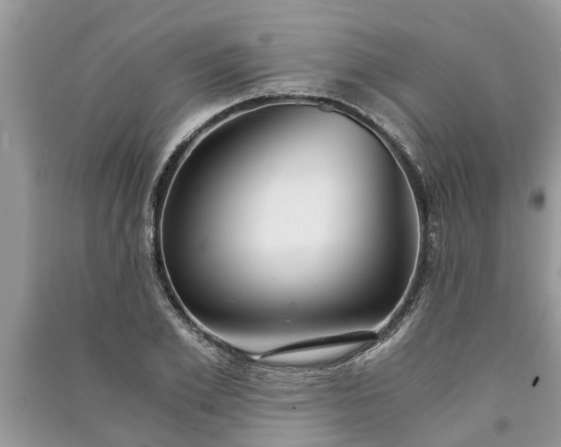 X0000091060981200708131126