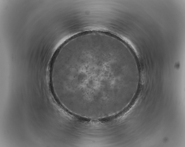 X0000091060983200708131126