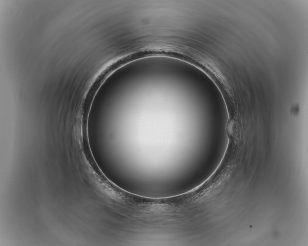 X0000091060984200708131126
