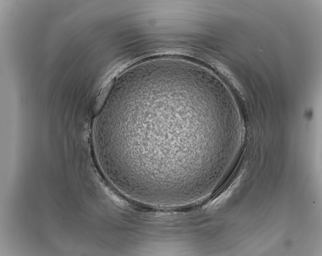 X0000091060985200708131126