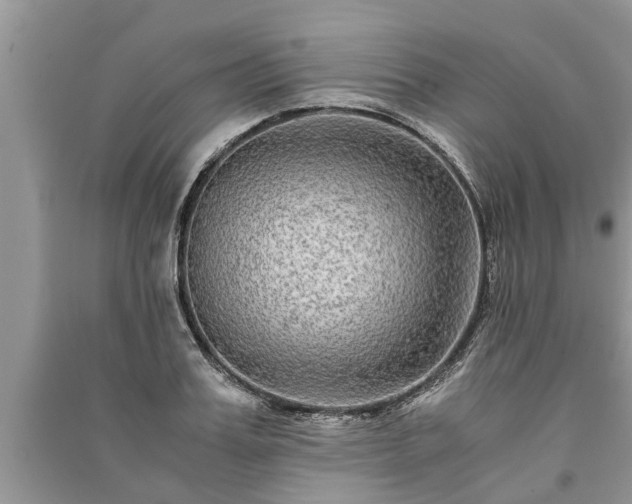 X0000091060987200708131126