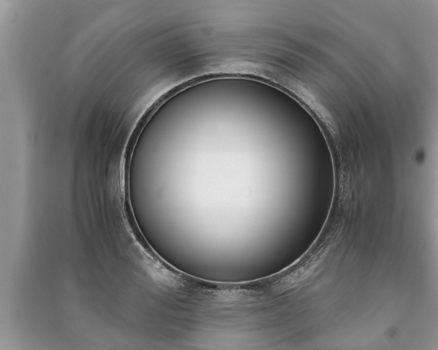 X0000091060988200708131126