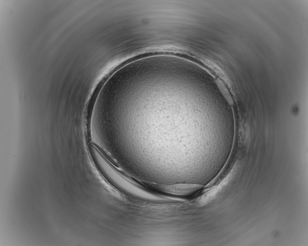 X0000091060989200708131126