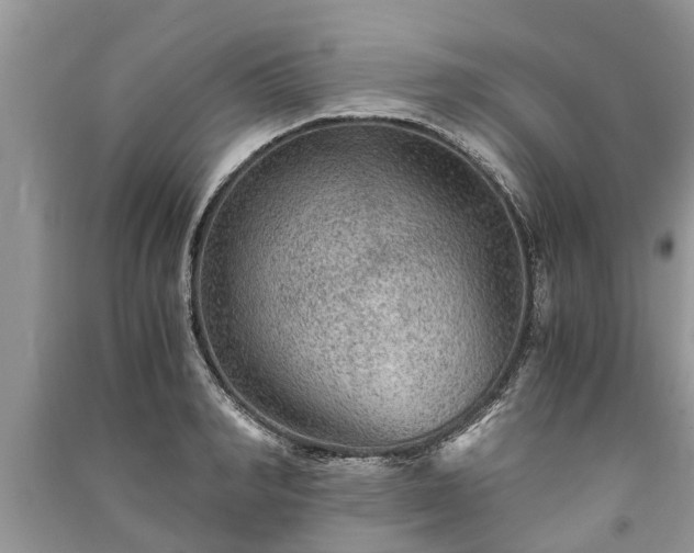 X0000091060990200708131126