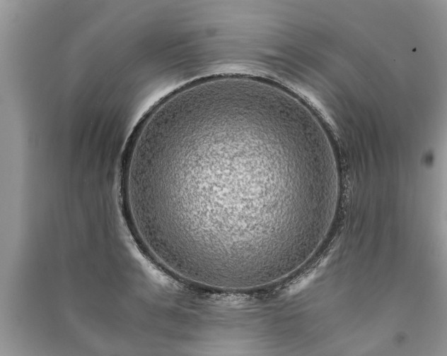 X0000091060991200708131126