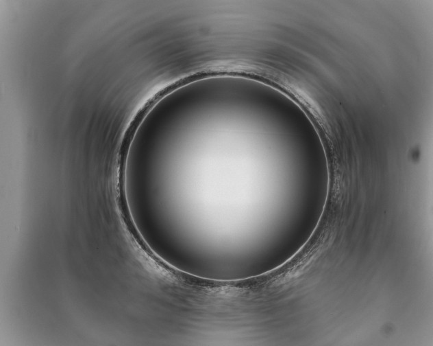 X0000091060992200708131126