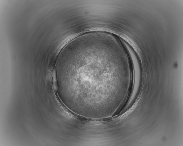 X0000091060993200708131126