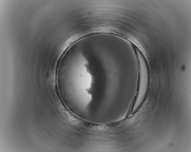 X0000091060994200708131126
