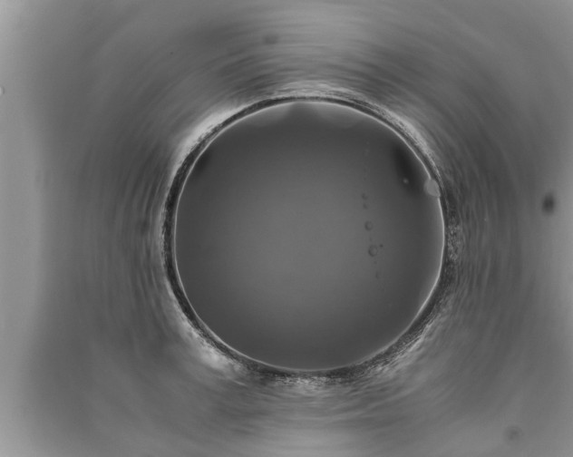 X0000091060995200708131126