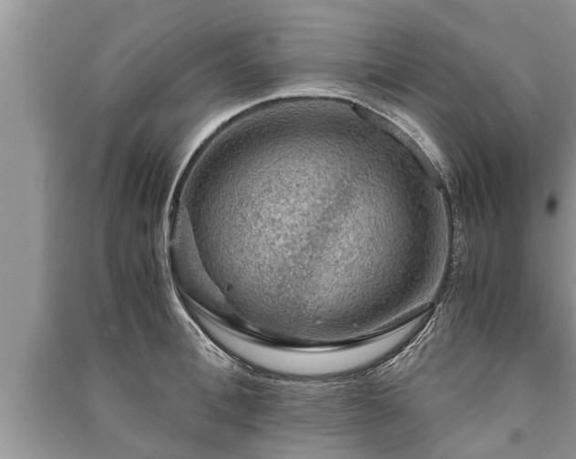 X0000091060996200708131126